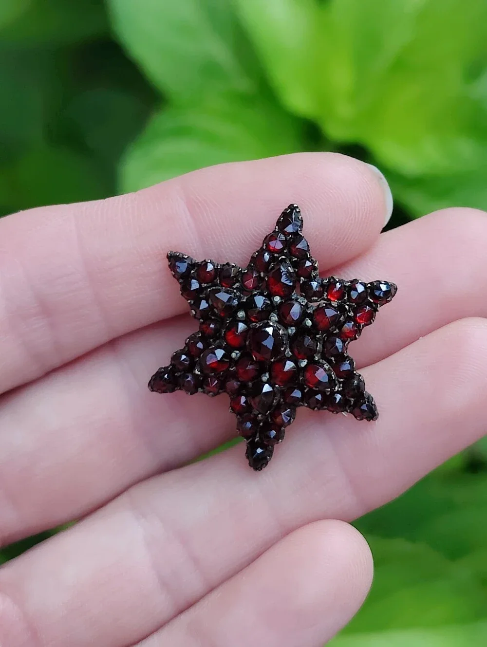 ⭐ Antique Bohemian Garnet Star Brooch